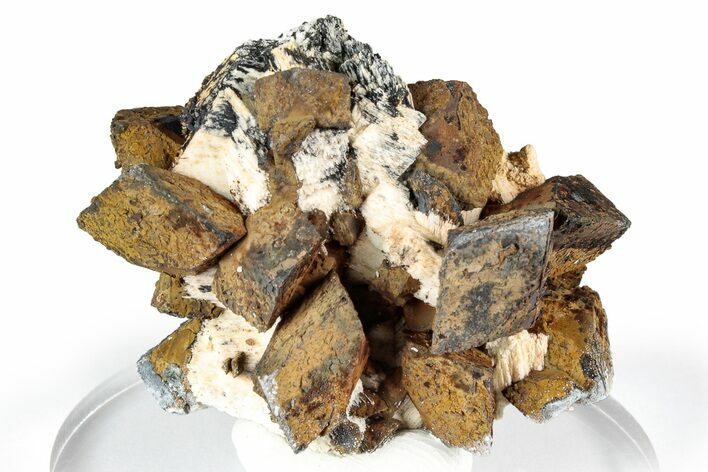 Goethite After Siderite Crystals on Feldspar and Schorl - Namibia #348775